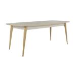 Mitra Dining Table (Fixed)