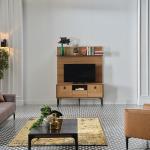 Vista Tv Unit (Long Shelf Module)