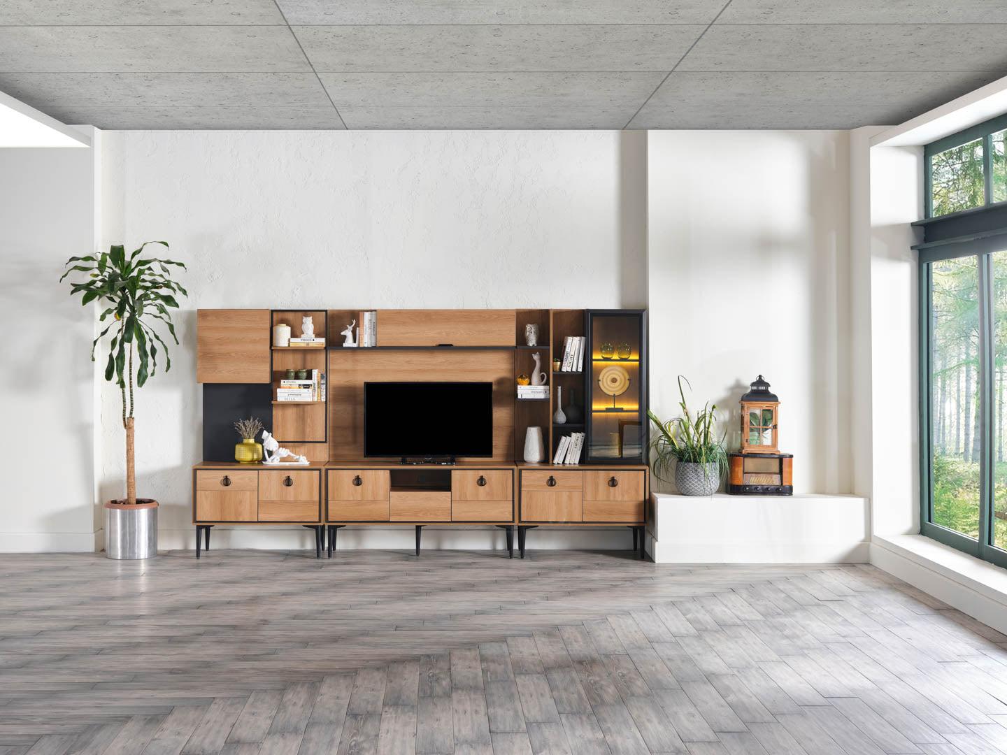 Vista Tv Unit