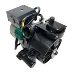 VAILLANT ECOTEC PLUS 612 615 618 624 630 824 831 5 WIRES WHITE LABEL PUMP 178983