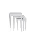 Platin Nesting Table