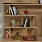 Mitra Tv Unit (Shelf Module)