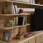 Mitra Tv Unit (Shelf Module)