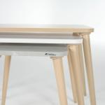 Lena Nesting Table