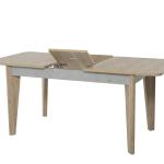 Lena Mini Dining Table (Extendable) + Lena Chair (6219)