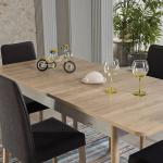 Lena Mini Dining Table (Extendable) + Lena Chair (6219)