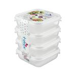 Horizontal Set of 4 Storage Containers 250 ml.
