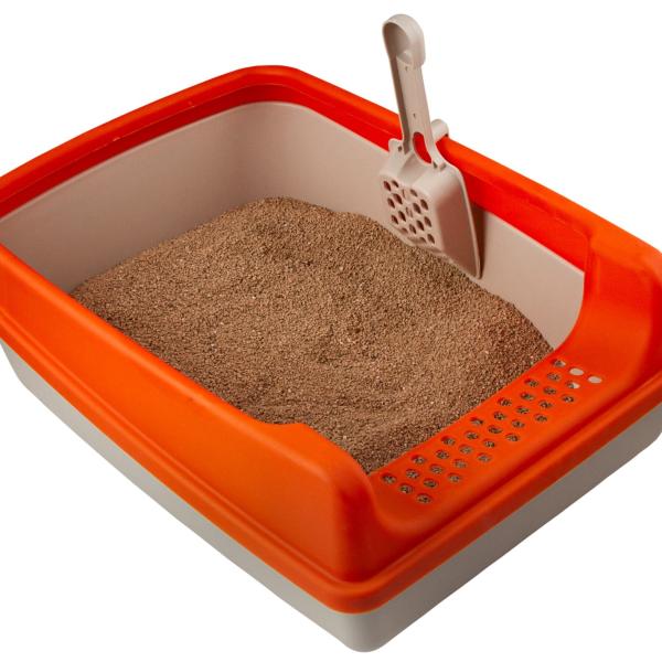 CAT TOILET LITTER BOX CLOUR